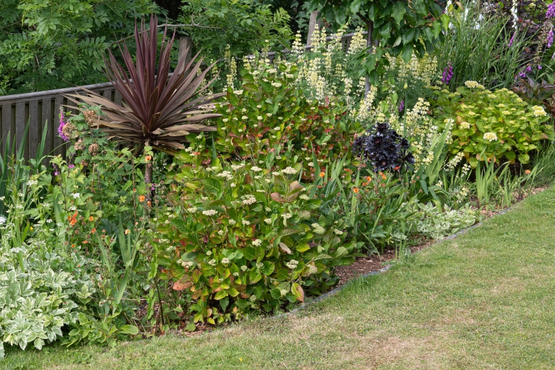 The Old Vicarage
